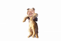 panda-simba
